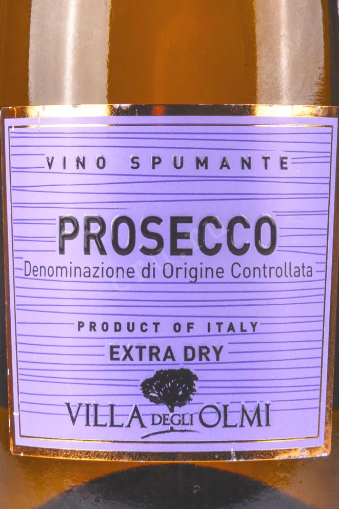 Этикетка Villa Degli Olmi Spumante Extra Dry DOC 2023 0.2 л