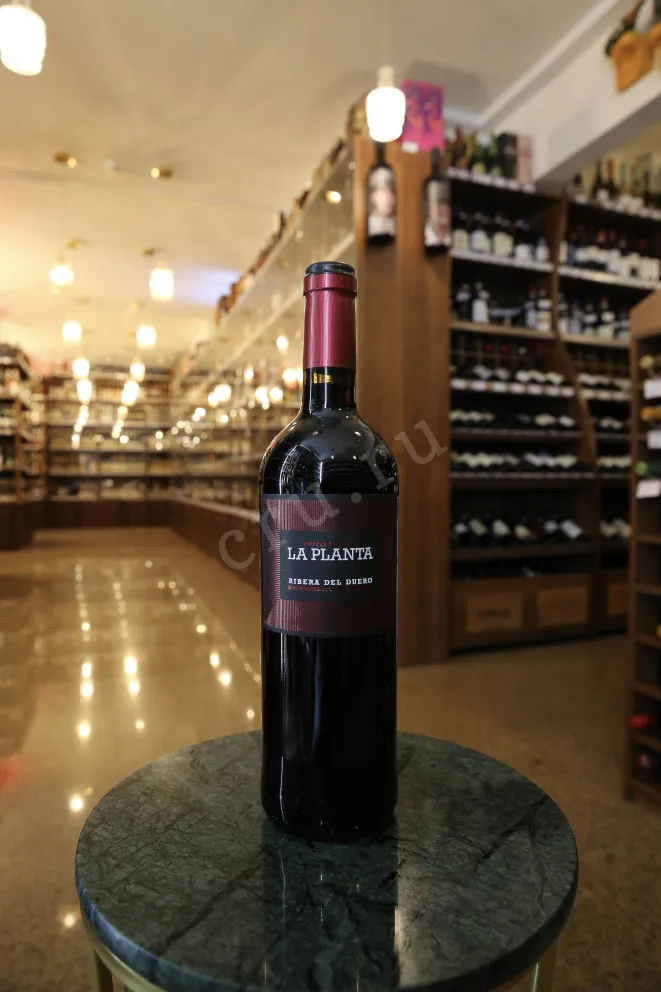 В магазине Крю Профи La Planta Arzuaga Navarro 2023 0.75 л