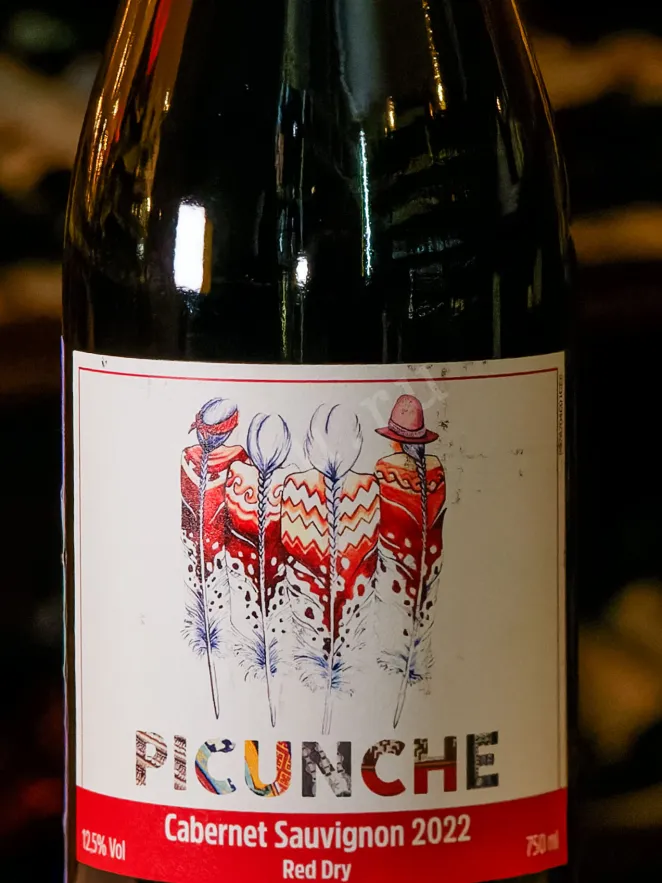 В магазине Крю Профи Picunche Cabernet Sauvignon Valle Central 2023 0.75 л