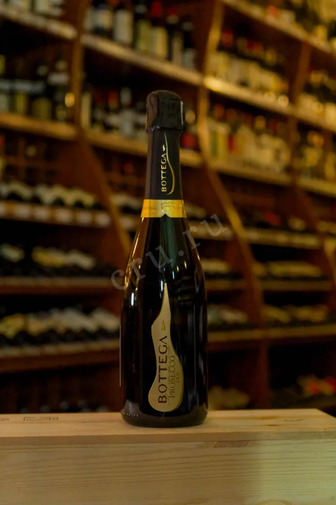 В магазине Крю Профи Bottega Prosecco Brut 2022 0.75 л