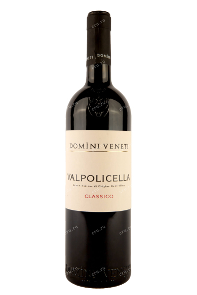 Вино Domini Veneti Valpolicella Classico 2021 0.75 л