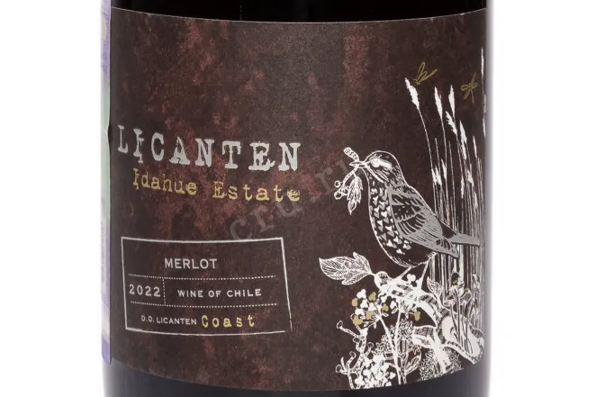 Этикетка La Ronciere Licanten Merlo 2022 0.75 л