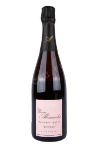 Шампанское Yann Alexandre Blanches Terres 2020 0.75 л