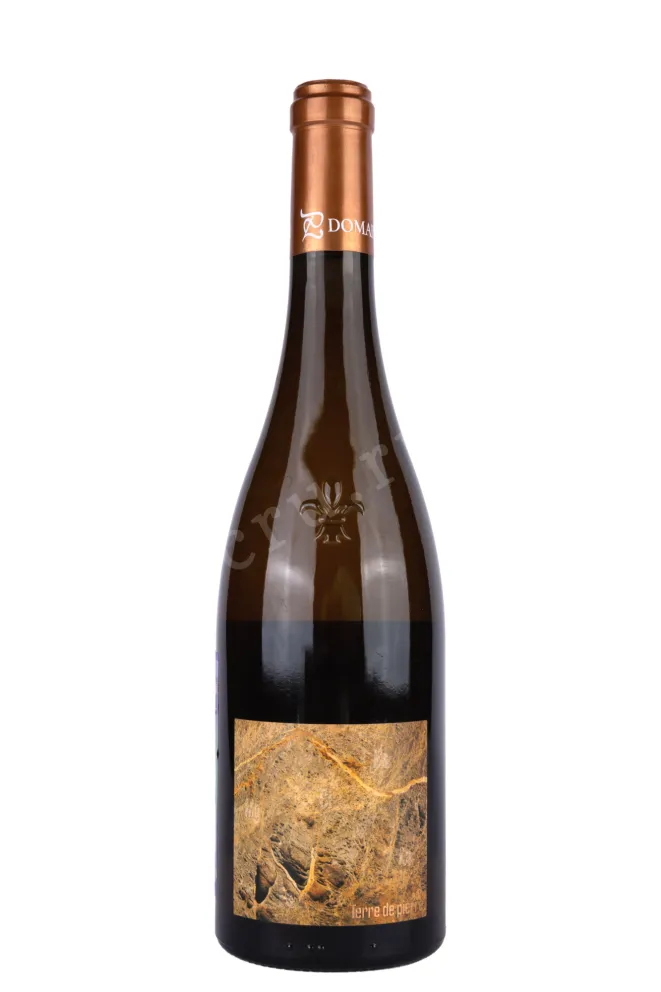 Вино Terre de Pierre Muscadet Sevre et Maine Sur Lie 2021 0.75 л