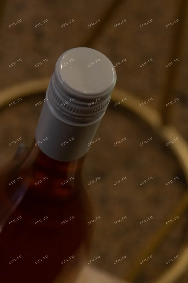 Пробка Viejo Feo Pinot Noir Rose 2022 0.75 л