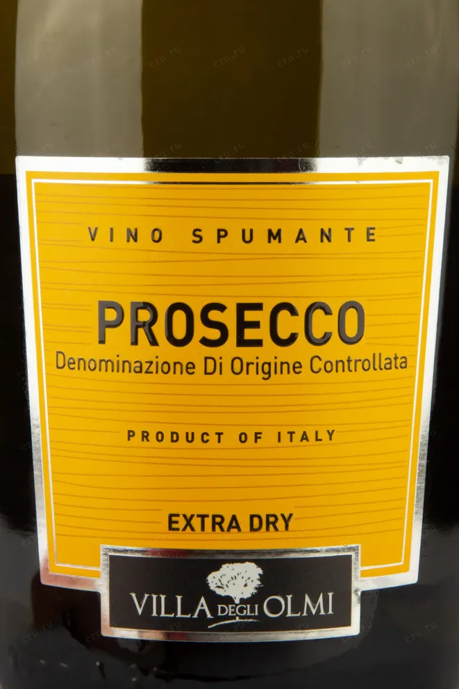 Этикетка Villa Degli Olmi Spumante Extra Dry DOC 0.75 л