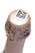 Пробка ZB wine Moscato Rose 2024 0.75 л