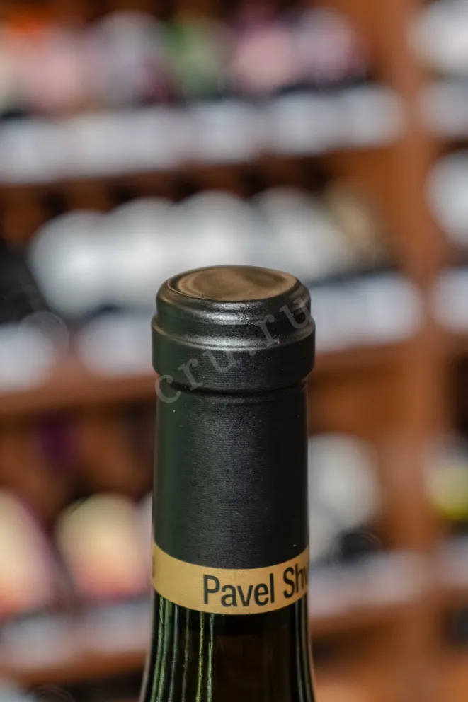 Пробка Pavel Shvets Sauvignon Blanc Reserva Chernay River Valley 2022 0.75 л