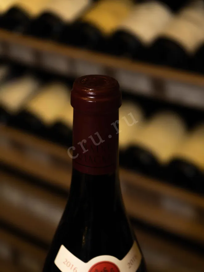 Пробка Corton Grand Cru Les Grandes Lolieres Domaine Bertagna 2016 0.75 л