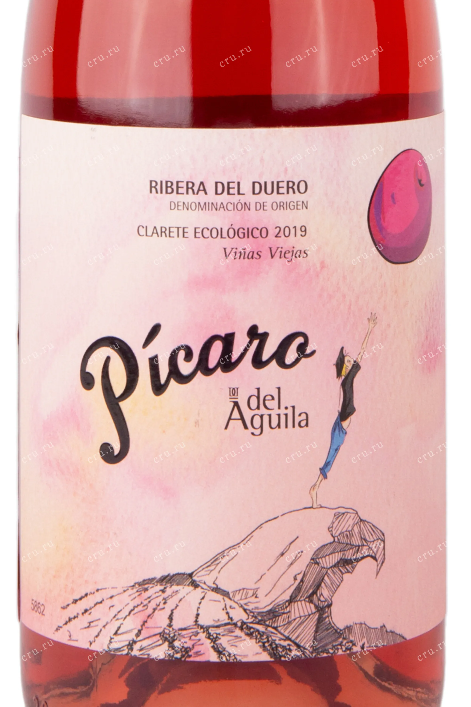 Picaro Del Aguila Clarete Vinas Viejas  л купить - Испанское вино  Пикаро дель Агила Кларет Виньяс Вьехас цена в магазине