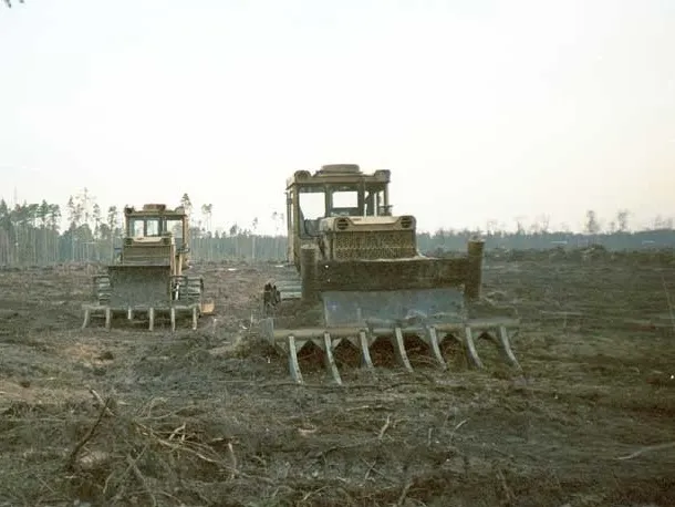 Сухой закон в разных странах - интересное про алкоголь в Крю Профи